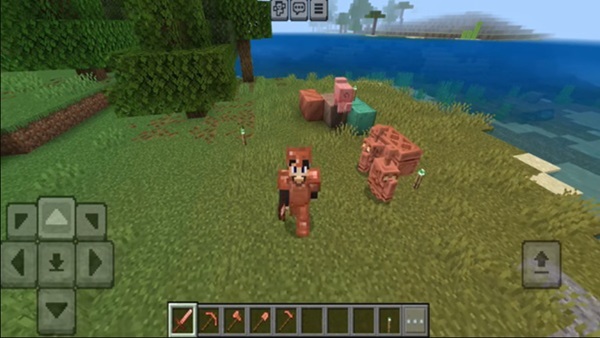Minecraft 1.21.141 apk
